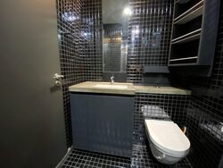 Skysuites@Anson (D2), Apartment #427666261